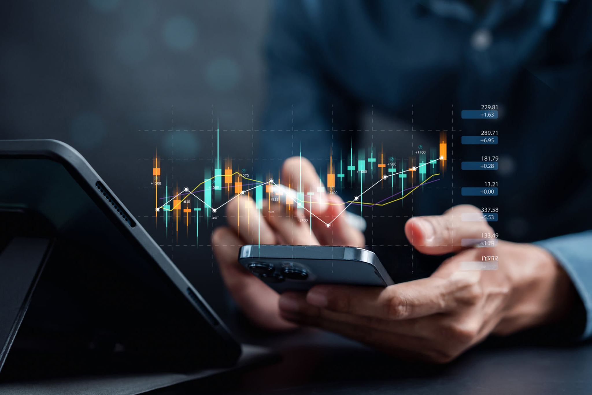 4. Large Domestic Market and Growing Consumer Demand